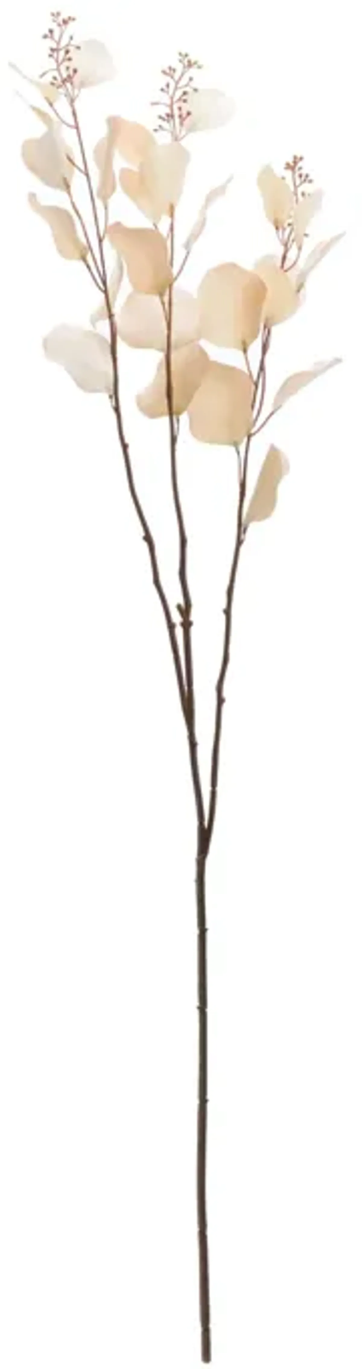 Seeded Eucalyptus Stem (Set of 2) – Artificial Greenery Branches for Vases, Bouquets, and Home Décor