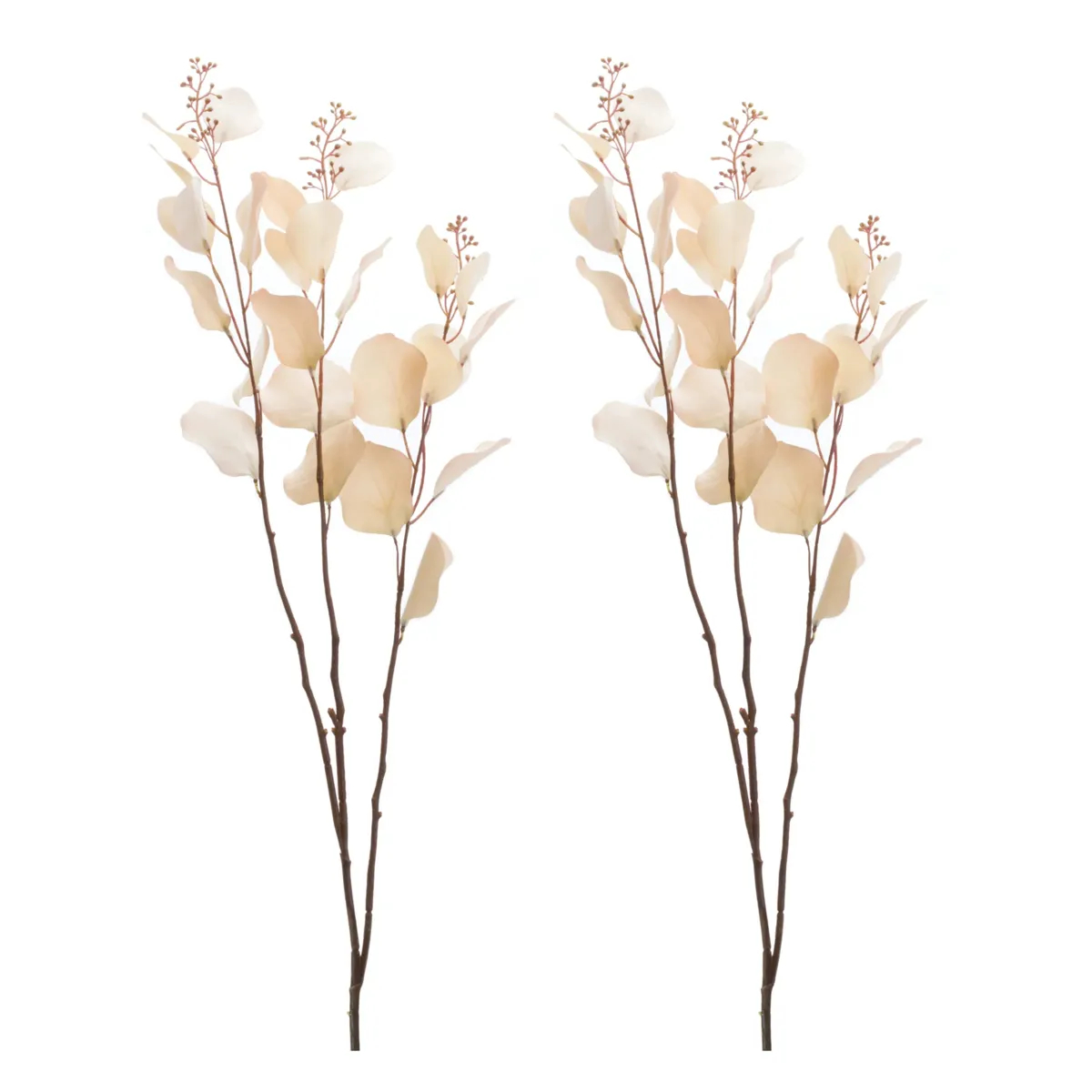 Seeded Eucalyptus Stem (Set of 2) – Artificial Greenery Branches for Vases, Bouquets, and Home Décor