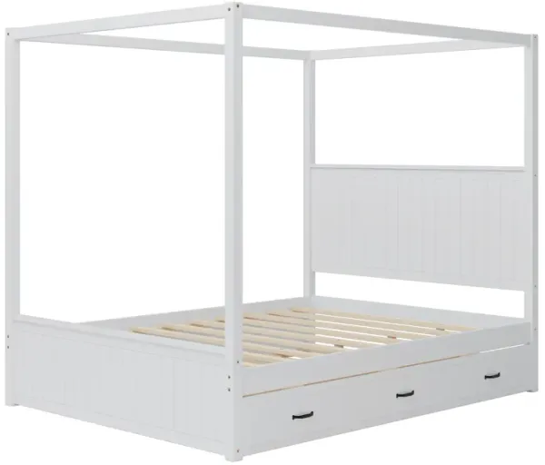 Merax 4-Post Canopy Platform Bed with Trundle and 3 Drawers