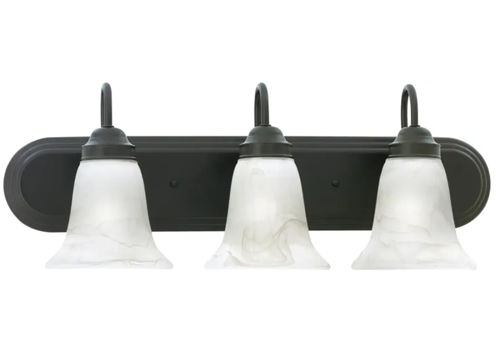 Homestead 24'' Wide 3-Light Vanity Light