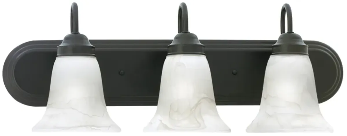 Homestead 24'' Wide 3-Light Vanity Light