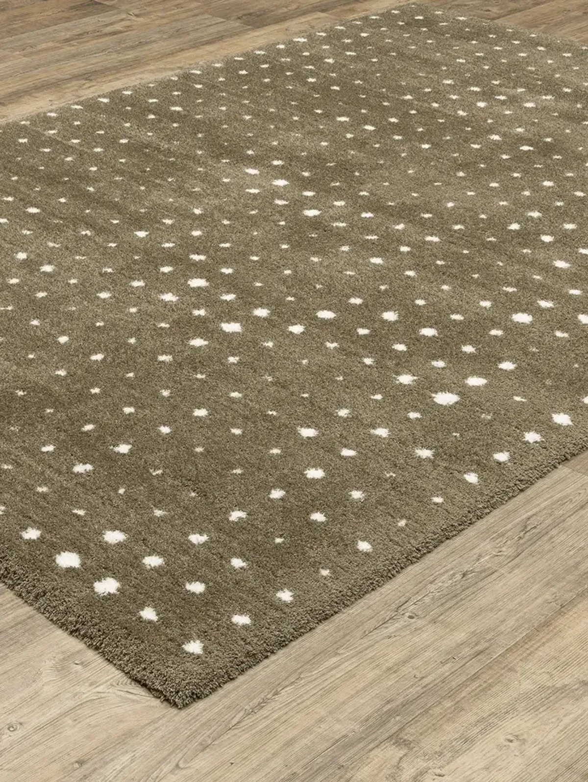 Galileo 2' x 3' Brown Rug