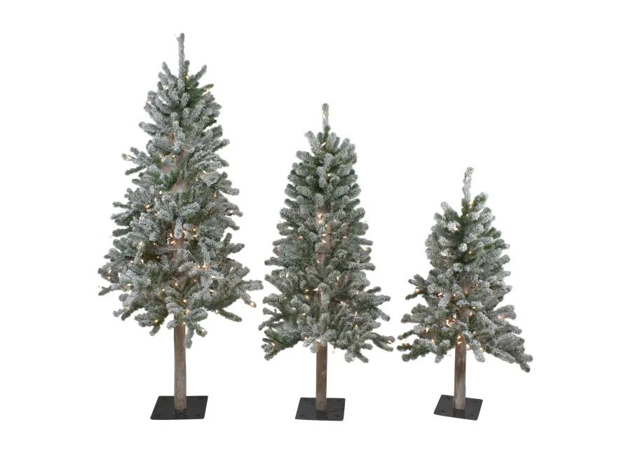 Set of 3 Pre-Lit Slim Flocked Alpine Artificial Christmas Trees 5' - Clear Lights