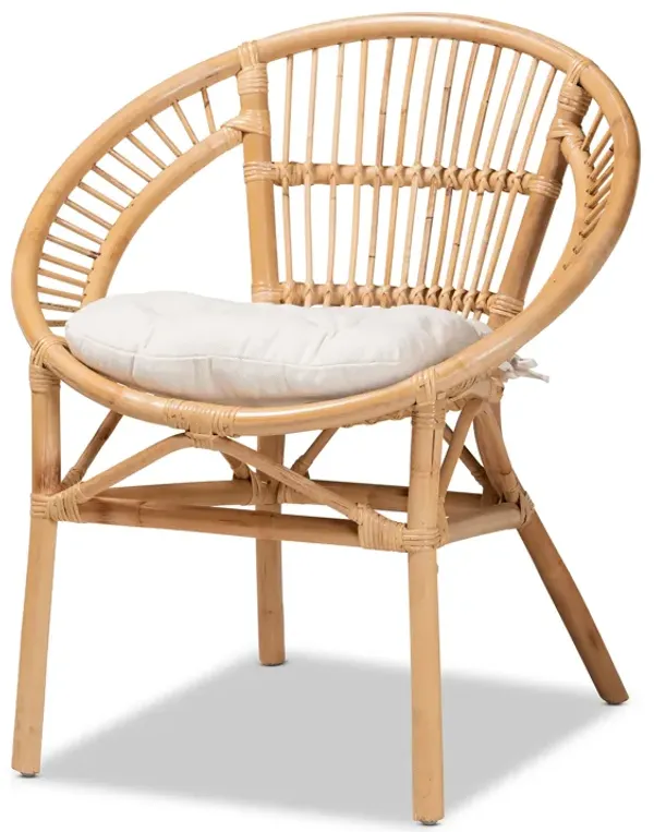 Baxton Studio Adrina Modern Bohemian Natural Brown Rattan Dining Chair
