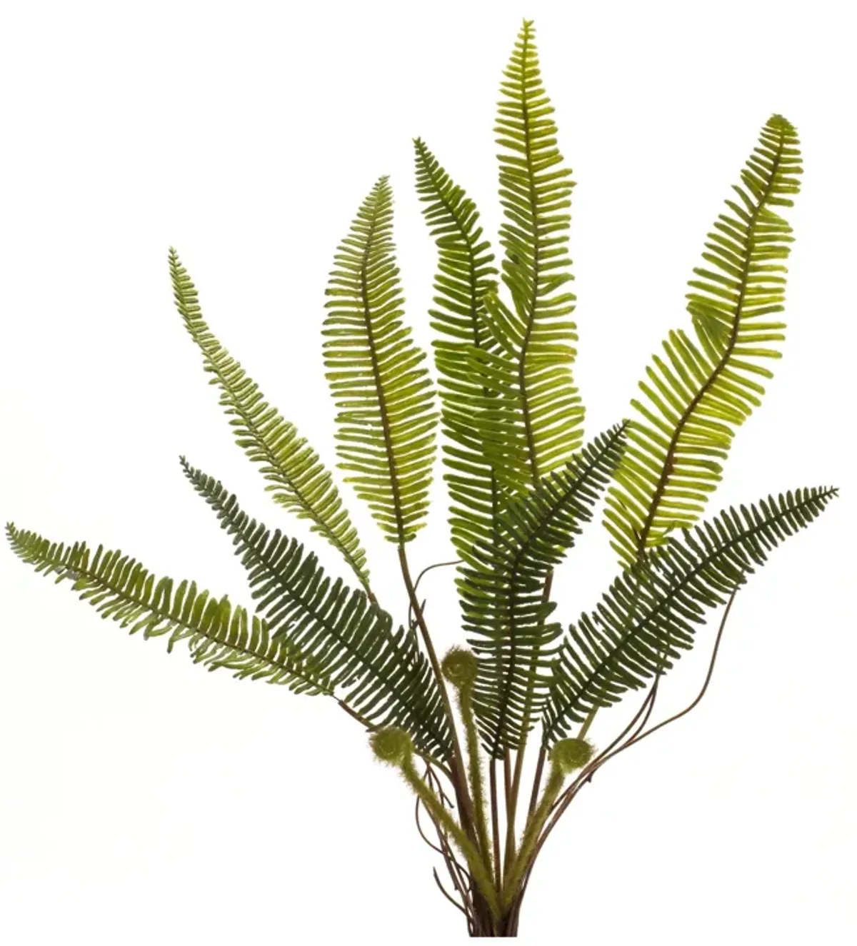 Variegated Fern Foliage Bush for Lush Home Décor and Floral Arrangements (Set of 6)