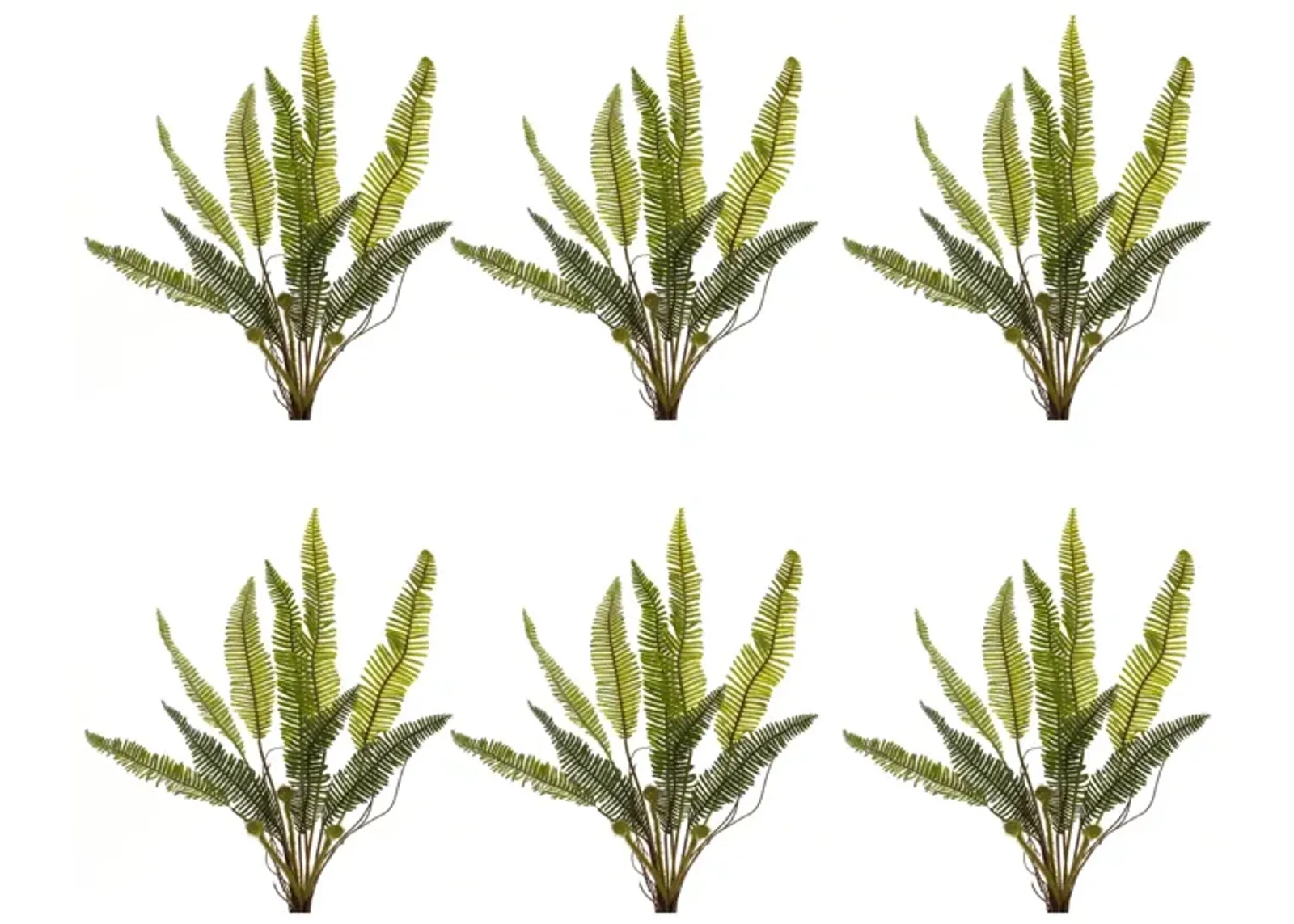 Variegated Fern Foliage Bush for Lush Home Décor and Floral Arrangements (Set of 6)