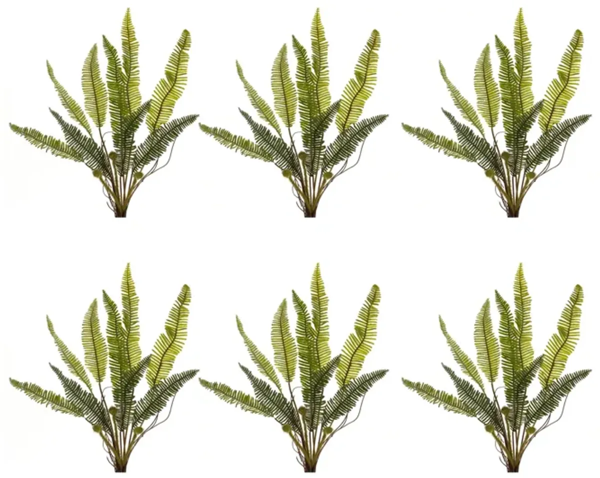 Variegated Fern Foliage Bush for Lush Home Décor and Floral Arrangements (Set of 6)