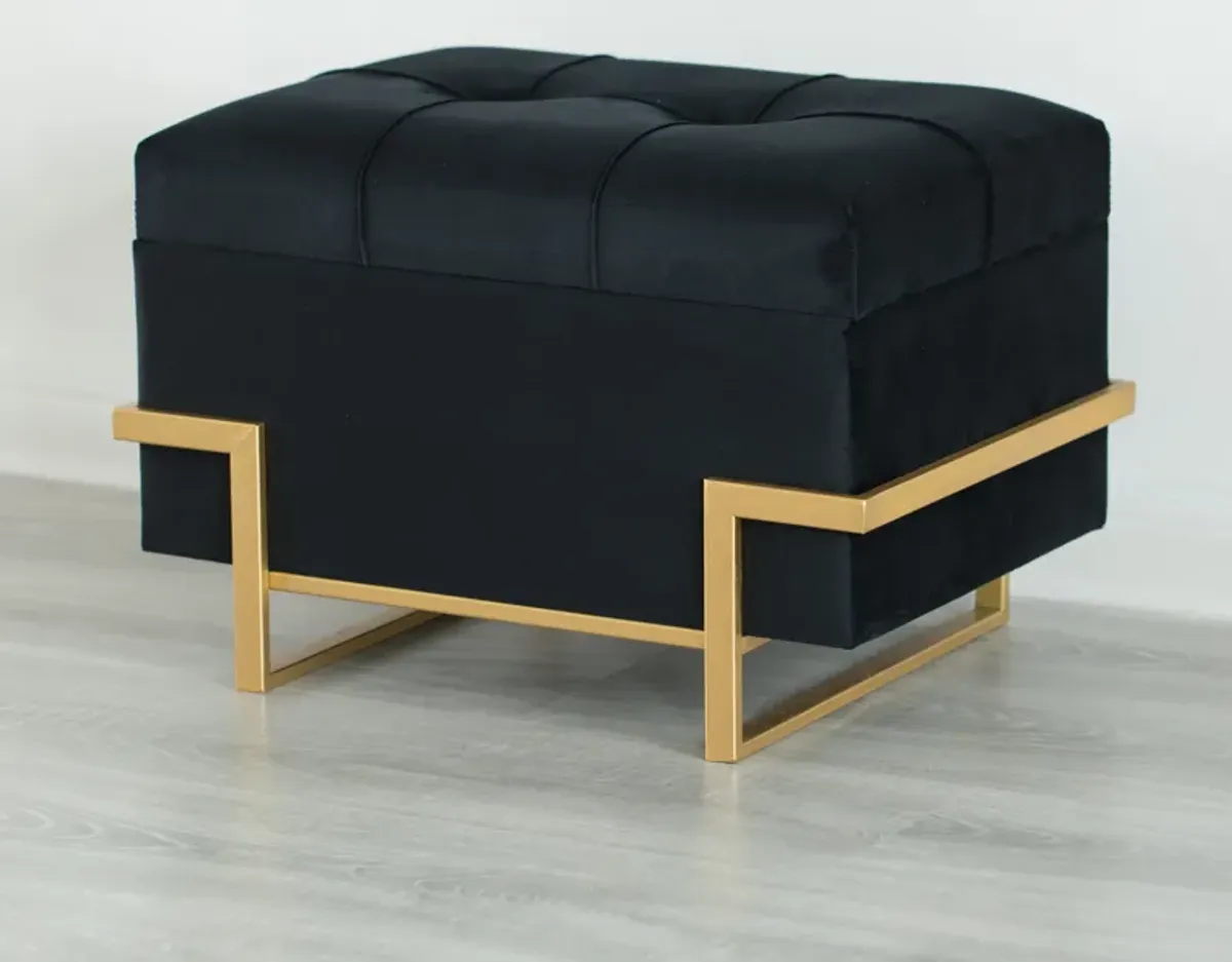 Rectangular Velvet Storage Ottoman with Gold Legs, Black