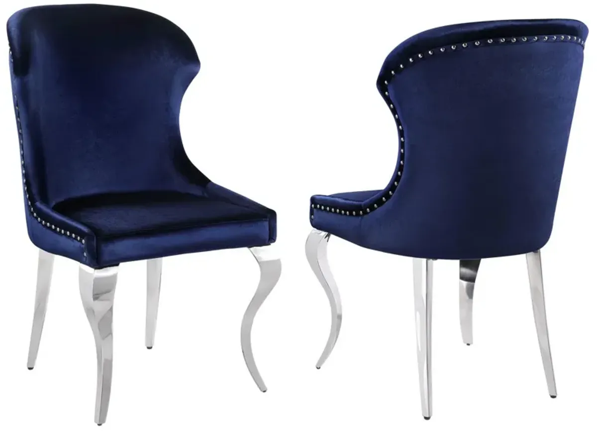 Cian 22 Inch Dining Chair, Curved, Cabriole Legs, Blue Velvet, Set of 2 - Benzara