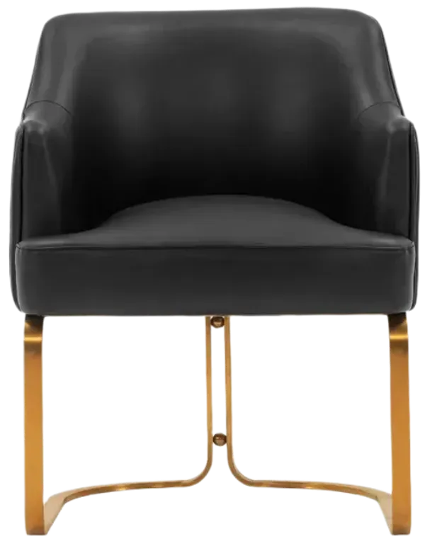 Raya Black Dining Arm Chair
