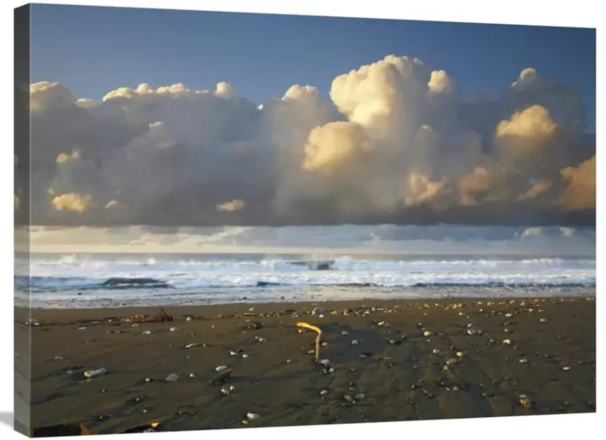 Beach and waves, Corcovado National Park, Costa Rica-Canvas Art-32x24