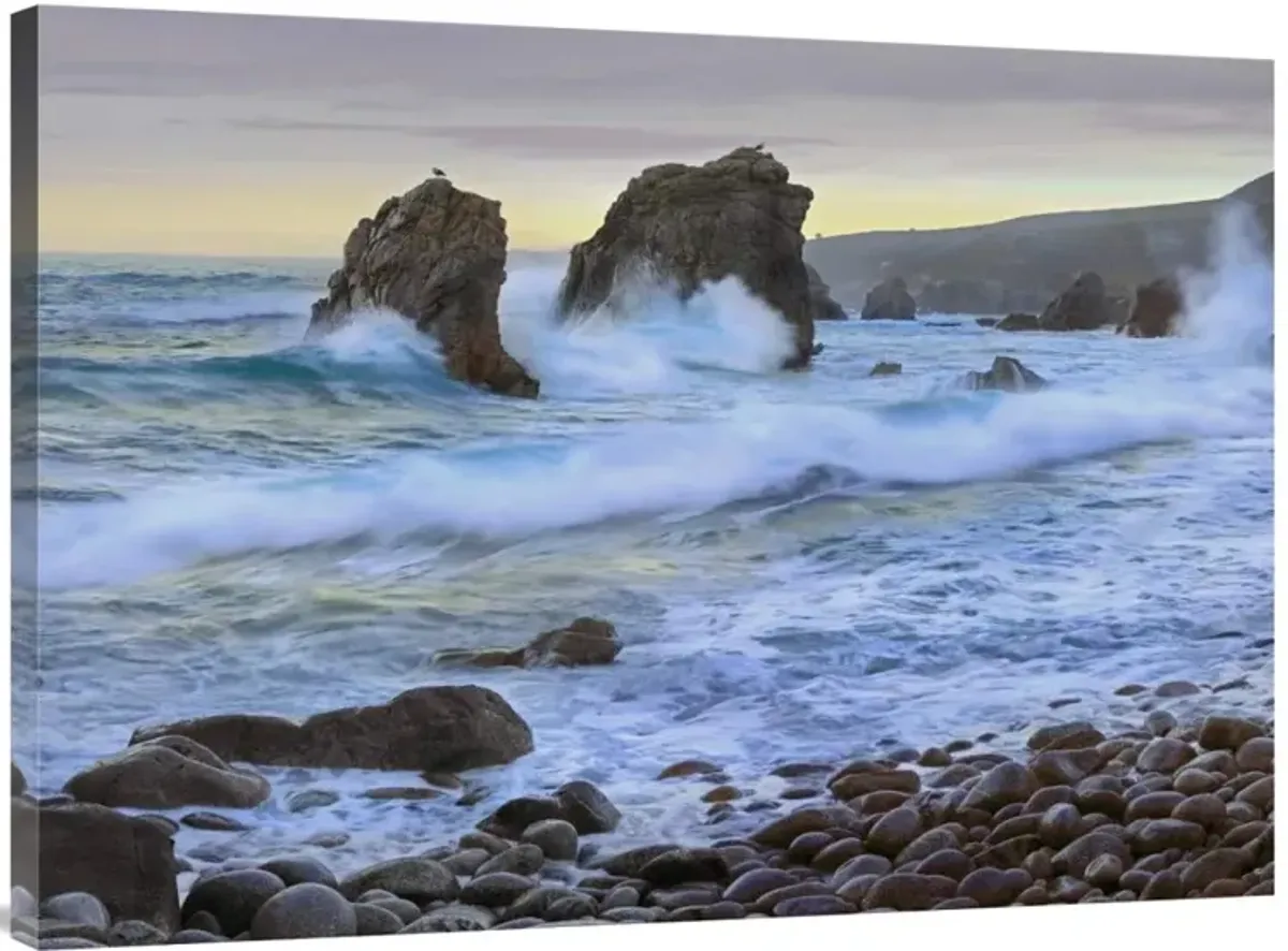 Cove and seastacks near Garrapata State, Beach Big Sur, California-Canvas Art-40x30