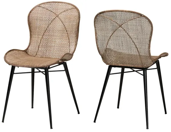 Bali & Pari Sabelle Japandi Gray Rattan and Black Metal 2-Piece Dining Chair Set
