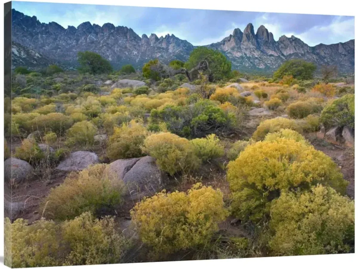 Organ Mountains, Chihuahuan Desert, New Mexico-Canvas Art-40x30