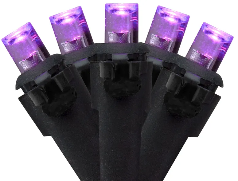 50 Count Wide Angle Purple LED Christmas Lights  16 ft Black Wire