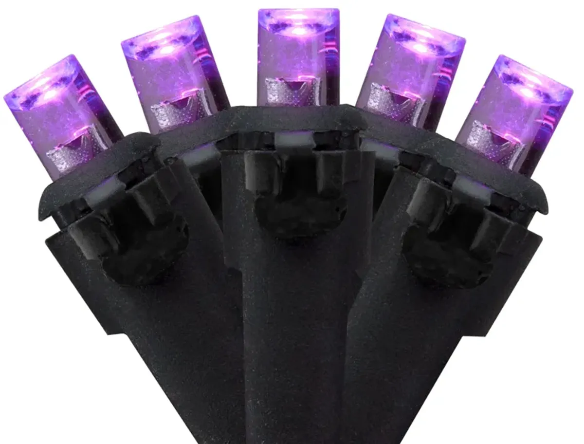 50 Count Wide Angle Purple LED Christmas Lights  16 ft Black Wire