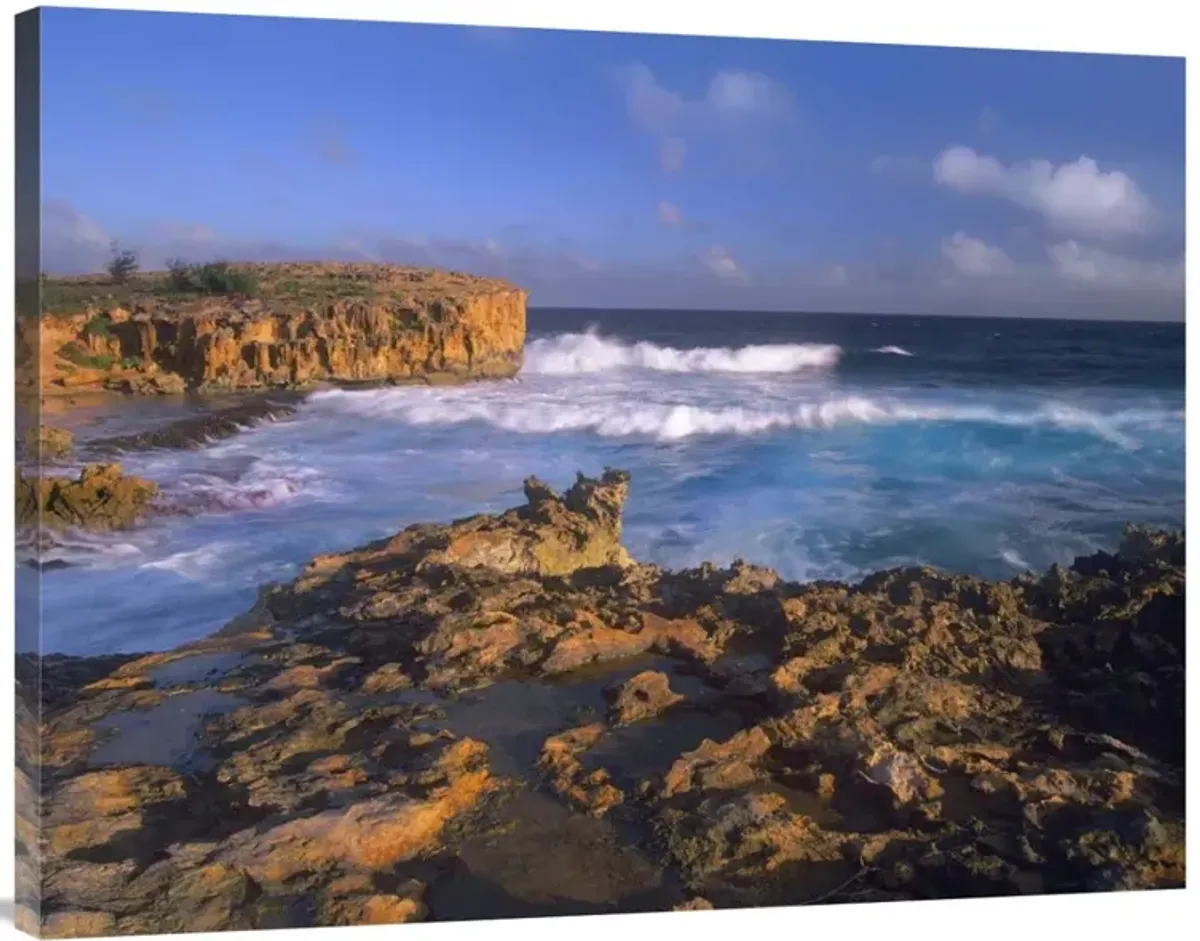 Pacific Ocean waves and cliffs at Keoneloa Bay, Kauai, Hawaii-Canvas Art-40x30