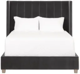 Dark Gray color