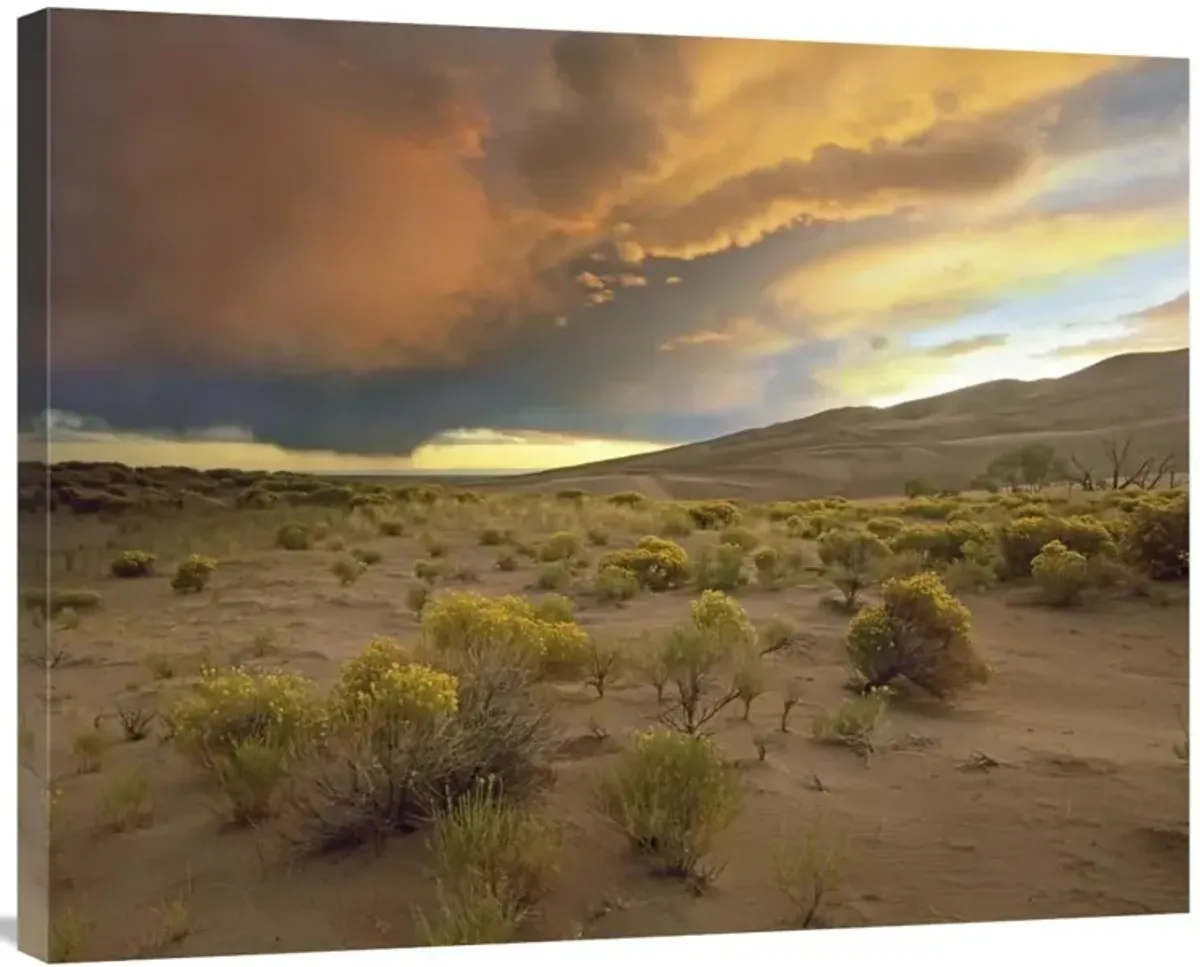 Storm clouds over Great Sand Dunes National Monument, Colorado-Canvas Art-35x28