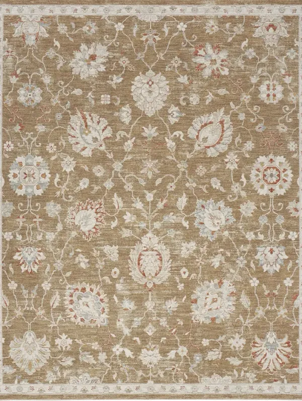 Infinite IFT04 Mocha 7'10" x 10'4" Rug