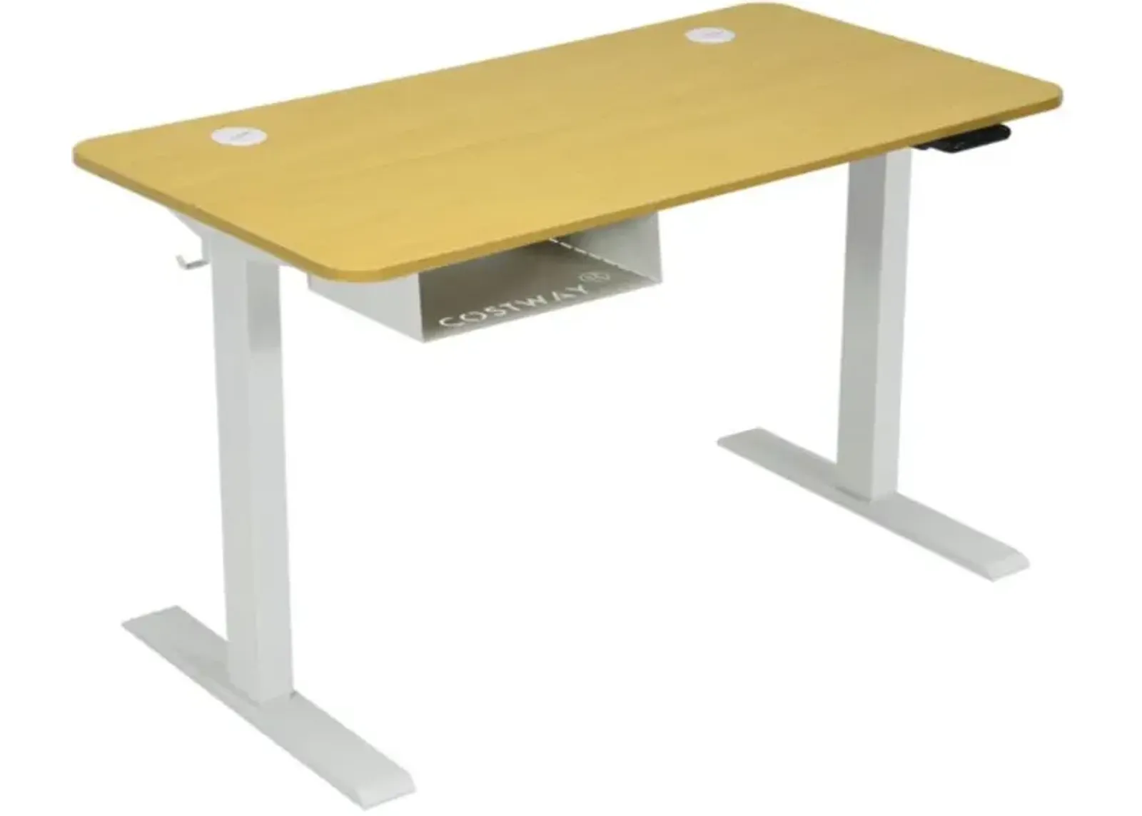 Costway 48-Inch Electric Standing Adjustable Desk with Control Panel and USB Port