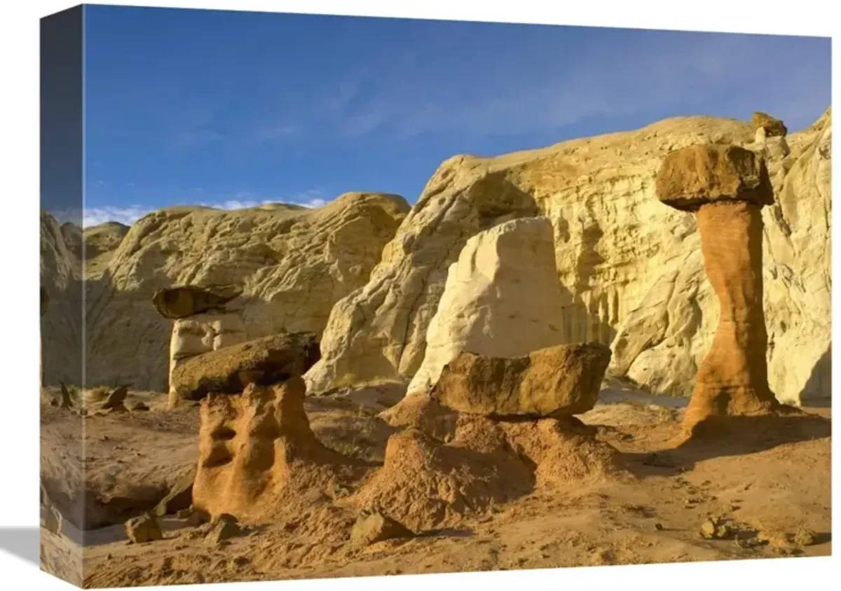 Toadstool Caprocks, Grand Staircase, Escalante National Monument, Utah-Canvas Art-16x12