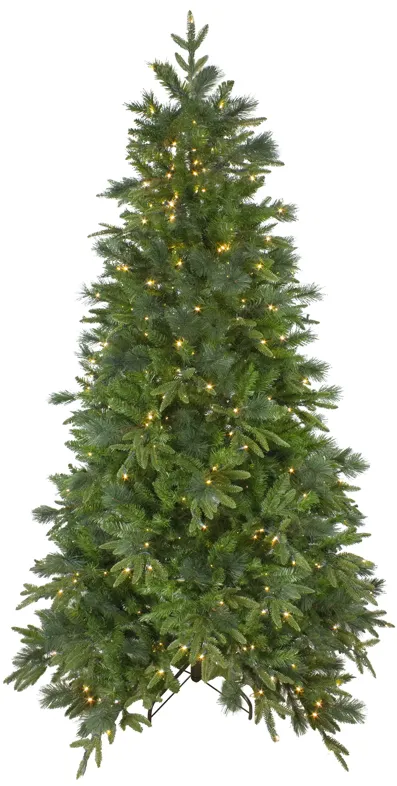 9' Pre-Lit Full Mixed Rosemary Emerald Angel Pine Artificial Christmas Tree - Clear LED Lights