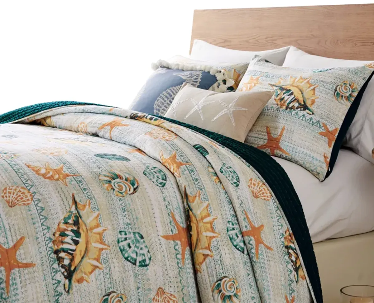 Carie 3pc King Quilt Set, Coastal Seashell Print, Blue Cotton Microfiber