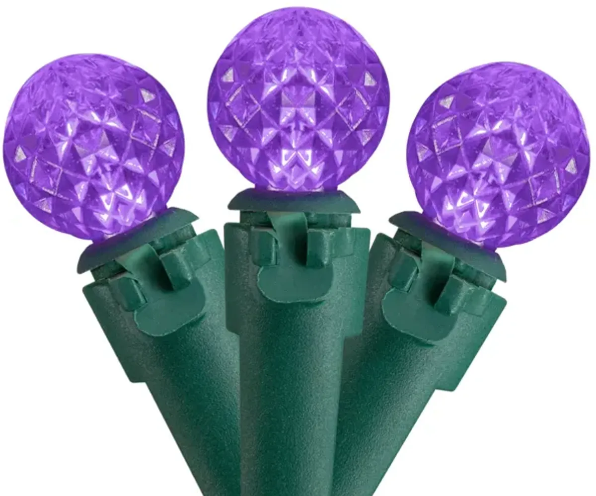 50 Count Purple LED G12 Berry Christmas Lights  15.9 ft Green Wire