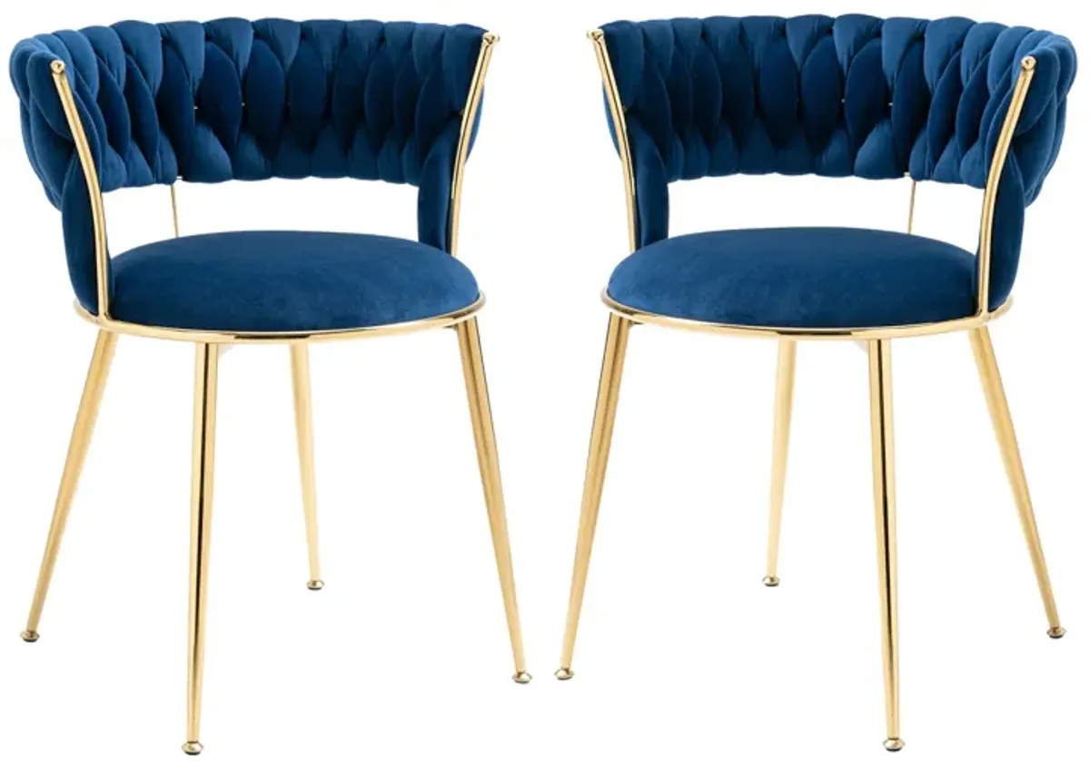 Leisure Dining Chairs With Set of 2