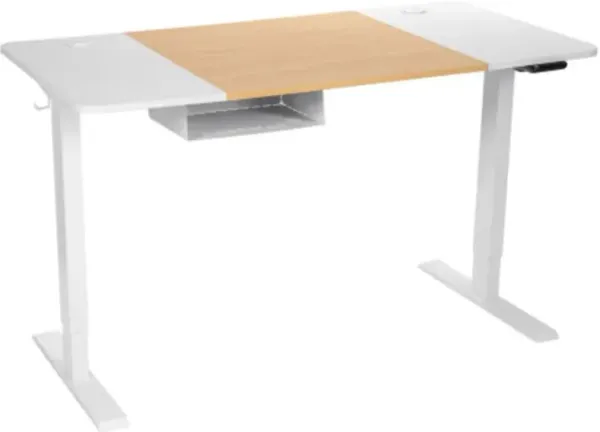 Electric Adjustable Sit to Stand Desk with USB Port