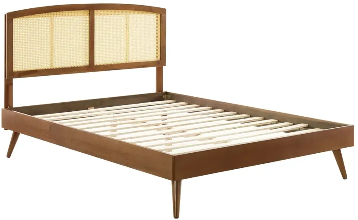 Modway - Sierra Cane and Wood King Platform Bed with Splayed Legs