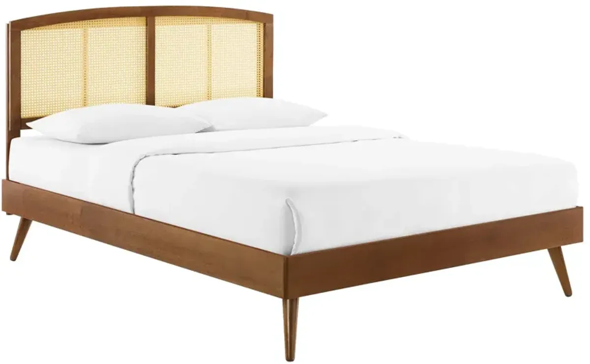 Modway - Sierra Cane and Wood King Platform Bed with Splayed Legs