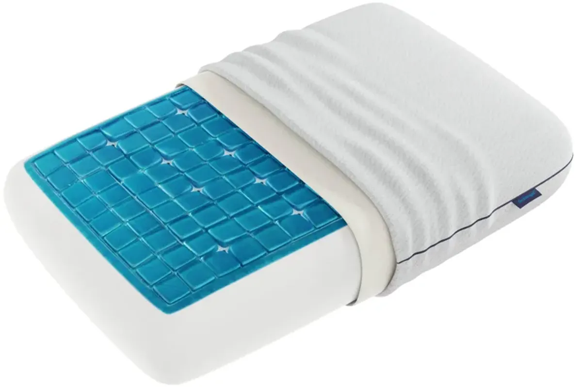 Deluxe Thick 5.5 Standard Pillow