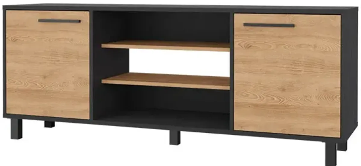 Washington TV Stand