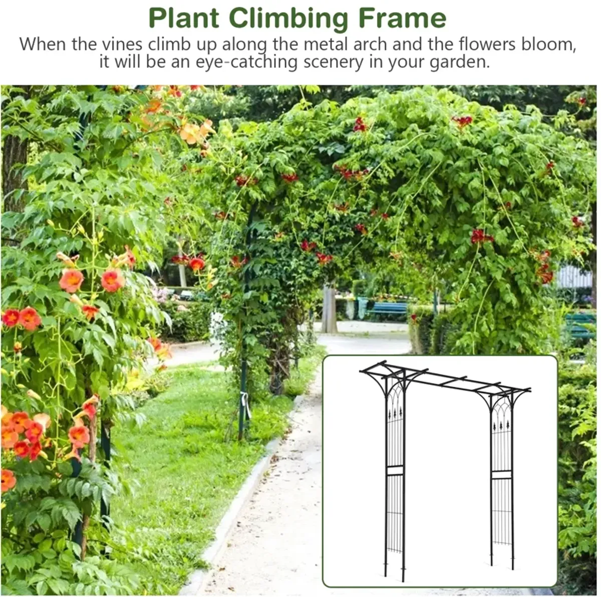 81 x 20 Inch Metal Garden Arch for Various Climbing Plant