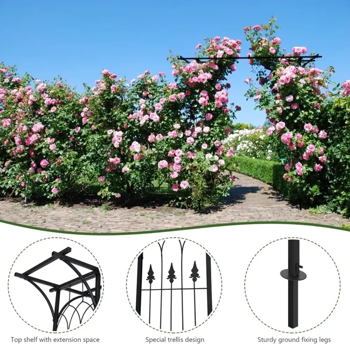 81 x 20 Inch Metal Garden Arch for Various Climbing Plant