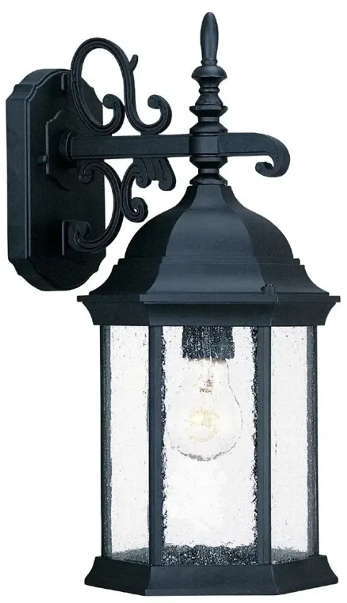 Hivvago Petite Matte Black Domed Hanging Lantern Wall Light