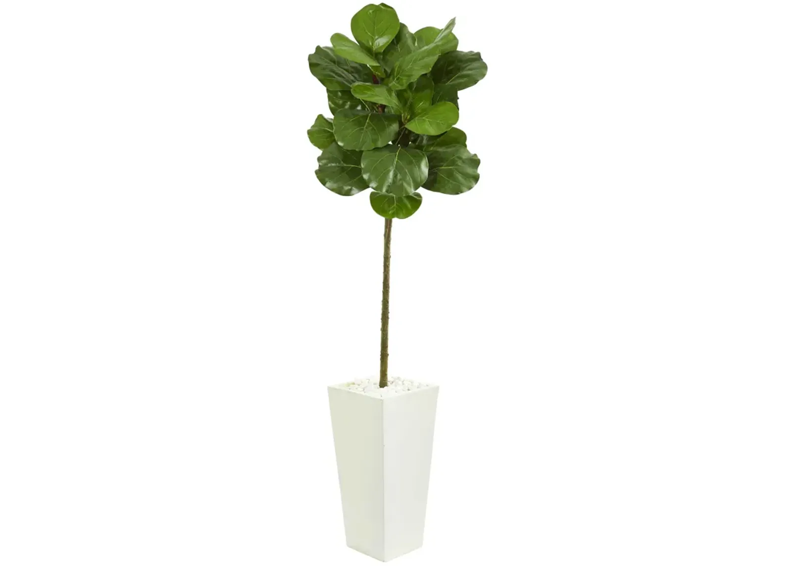 HomPlanti 5.5 Feet Fiddle Leaf Artificial Tree in White Tower Planter