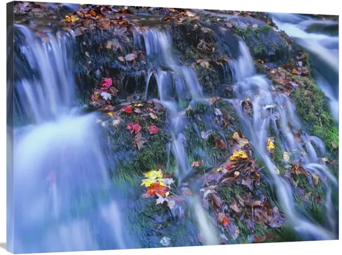 Laurel Creek cascades, Great Smoky Mountains National Park, Tennessee-Canvas Art-40x30