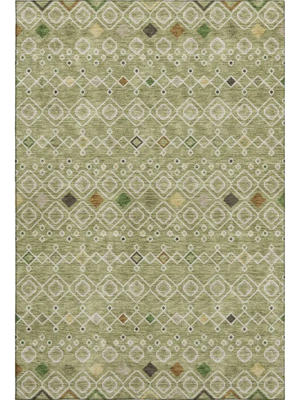 Neo NO12 Sage 30" x 46" Rug