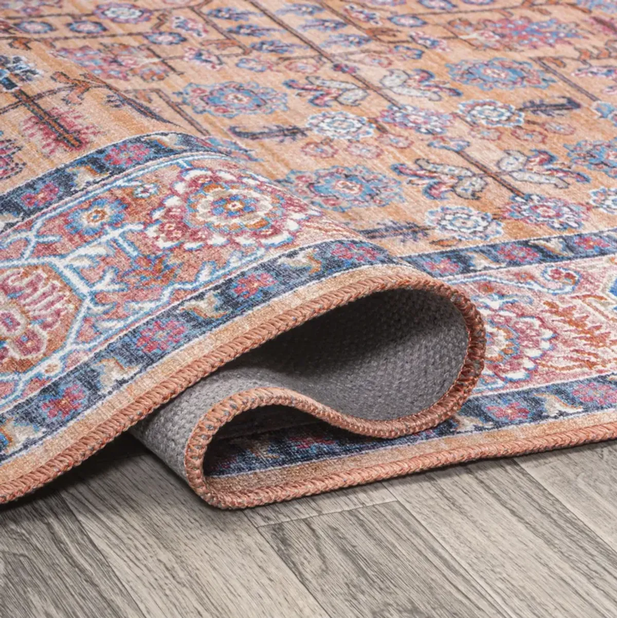 Kemer All-Over Persian Machine-Washable Area Rug