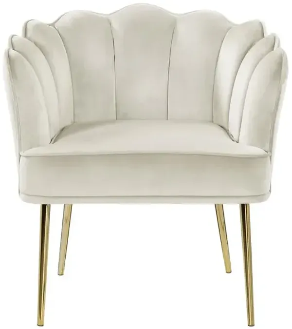 Jackie Cream Velvet Accent Chair with Gold Legs