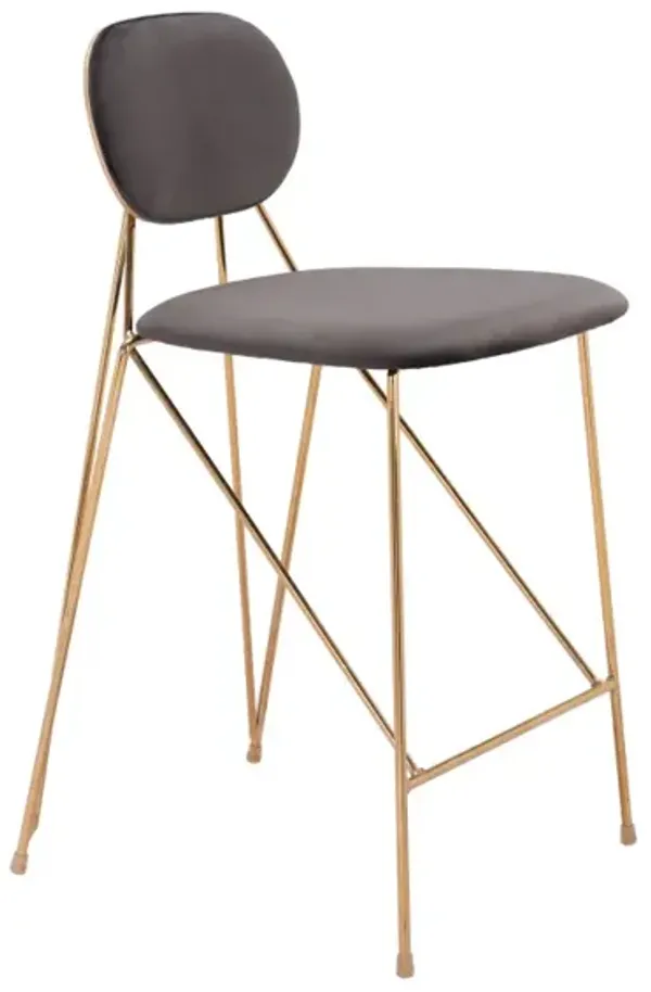 Georges Counter Stool (Set of 2) Gray & Gold