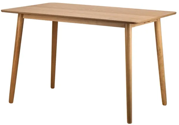 Dining Table for 4 People (L120 cm) Rectangular Wood