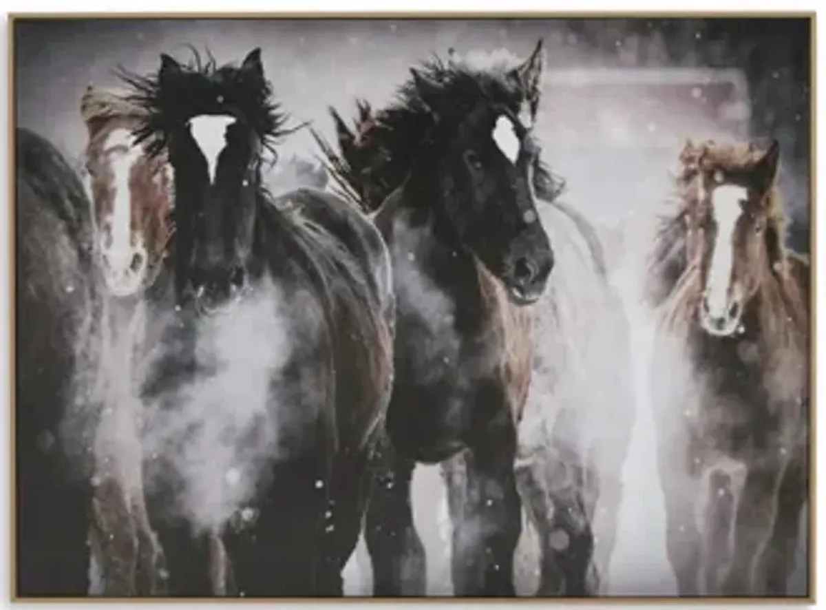 Chaseburn Wall Art