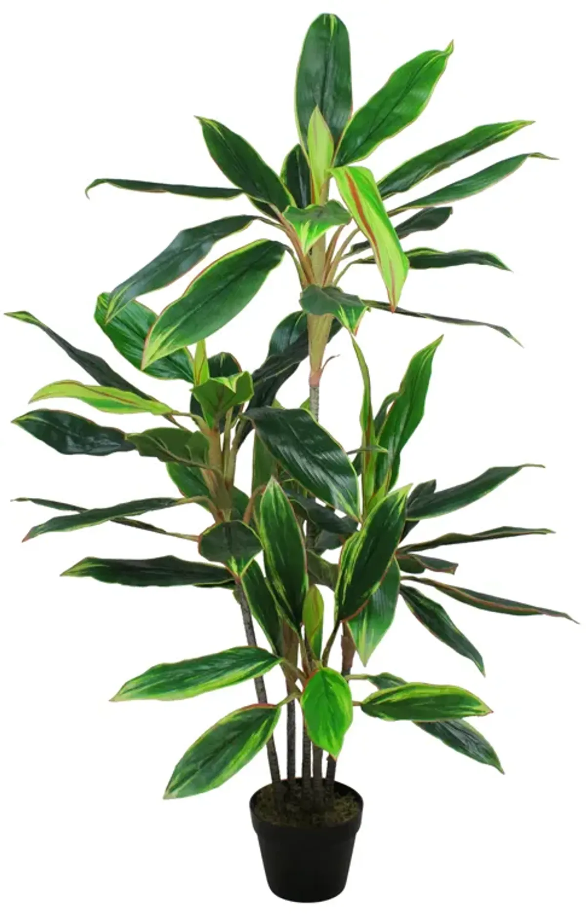 55" Green and Red Potted Two Tone Dracaena Artificial Plant