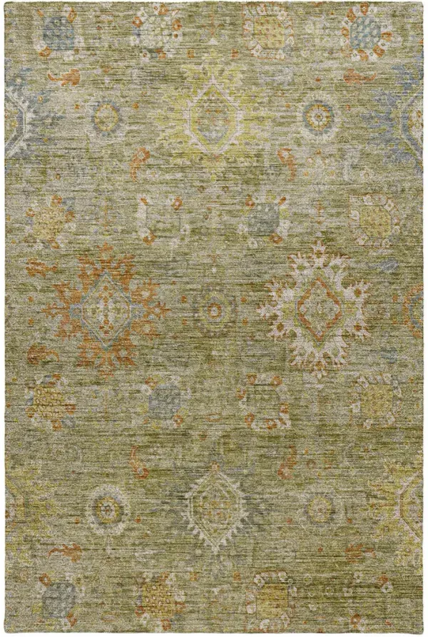 Silk Road SR9 Sage 3' x 5' Rug