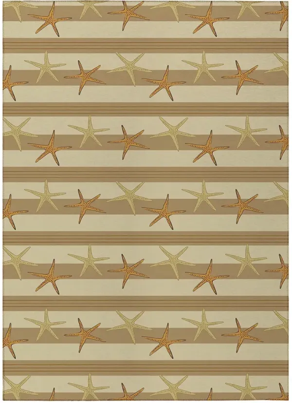 Seabreeze SZ12 Beige 30" x 46" Rug