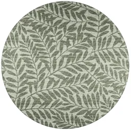 Fernway color
